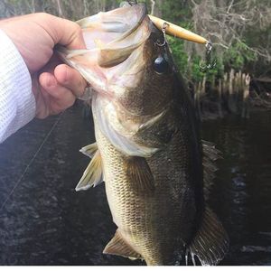 Meet your Posher, Andres